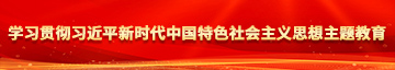 馒头逼精品导航学习贯彻习近平新时代中国特色社会主义思想主题教育